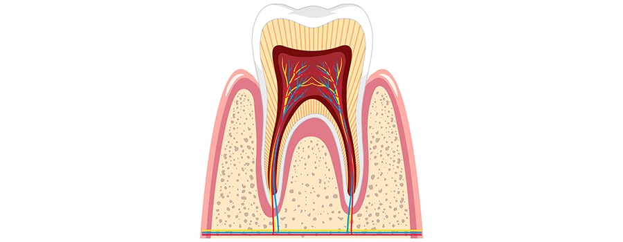dis-siniri-body-1.webp